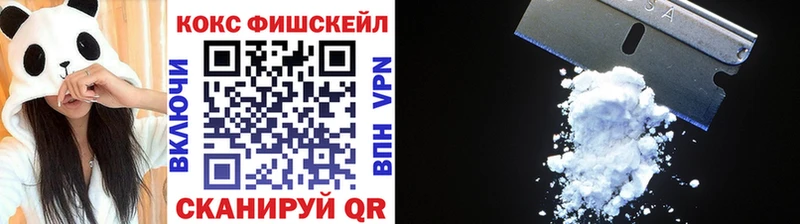 COCAIN Fish Scale  Купить  Берёзовка 