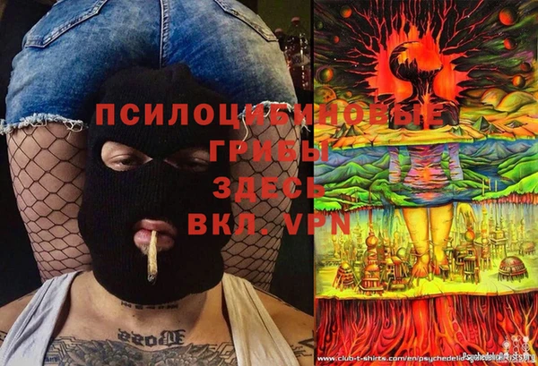 прущая мука Нея