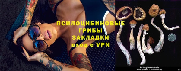 прущая мука Нея