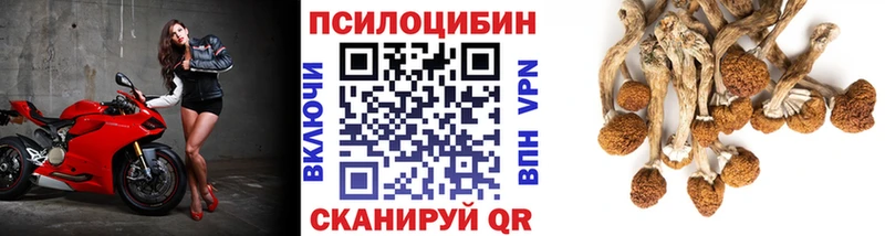 Купить  Берёзовка  Галлюциногенные грибы прущие грибы 